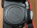 Canon 60D Body