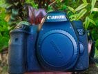 Canon 6D Camera