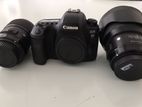 Canon 6D Mark ii Camera with Lenses