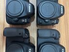 Canon 6D Mark ii Camera