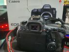 Canon 6 D Mii