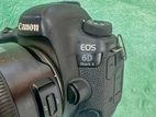 Canon 6D MII with 24-70 f-2.8 Tamaron G2 Lens