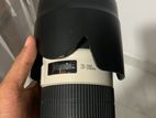 Canon 70-200 Lens