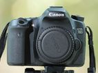 Canon 70D Camera