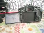 Canon 70D Camera