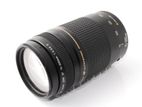 Canon 75-300 AF Lense