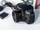 Canon 77D with 50mm f1.8 STM Lens