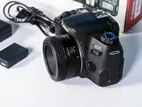 Canon 77D with 50mm f1.8 STM Lens