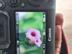 Canon 7D Mark Ii