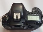 Canon 7D Professional Camera with Lenses