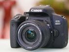 Canon 800D DSLR for Rent