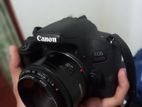 Canon 800d