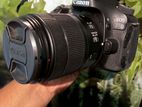 Canon 80D with 18-135 Full Set