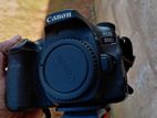 Canon 80D Camera