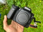 Canon 80D Camera