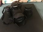 Canon 80D Camera