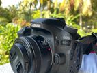 Canon 80d(used)