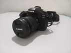 Canon 80 D with Accessories