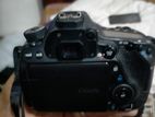 Canon 80D