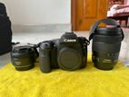 Canon 80d with 18-135mm +50mm 1.8