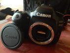 Canon 80D With Sigma 50mm Lens