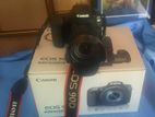 Canon 90 D Camera and Photography Studio Items