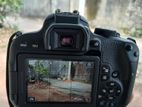 Canon EOS 800D Camara