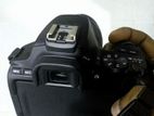 Canon Camera 250d