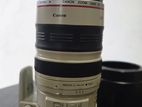 Canon EF 100-400 IS 1 Lens