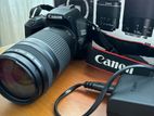 Canon EOS 250D and 700D