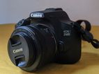 Canon EOS 250D DSLR Camera with 18-55 & EF 50mm f/1.8 STM Lens