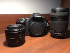 Canon EOS 60D Camera with 18-135mm and 50mm Lenses