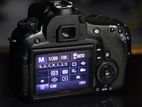 Canon Eos 60D