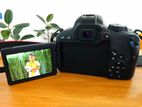 CANON EOS 800D CAMARA (shutter count 3500)