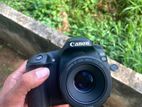 Canon EOS 80D + 50mm f/1.8 STM