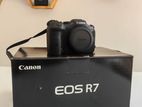 Canon EOS R7 with 24-105mm Mirrorless Camera