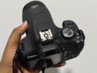 Canon EOS 2000D Camera