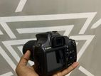 Canon Camera