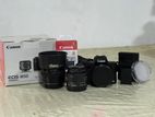 Canon M50