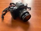 Canon M50 mark 2 Mirrorless 2023