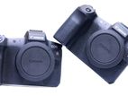 Canon R Body