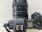 canon r