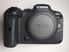 Canon R6 Camera