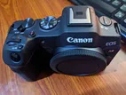 Canon R8 Camera With 50mm Lens