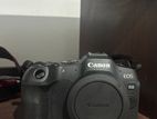 Canon R8 Mirrorless Camera