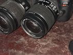 Canon Rebel T7 (2000D)