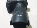 Canon Rp Camera