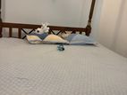 Canopy Bed