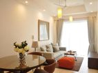 Capitol Elite - 03 Bedroom Apartment for Rent in Colombo 07 (A1739)