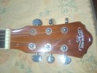 Caravan Music Acoustic Guitar